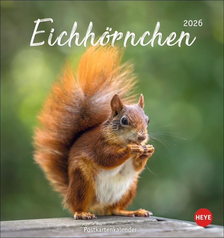 Eichhörnchen Postkartenkalender 2026 main product photo