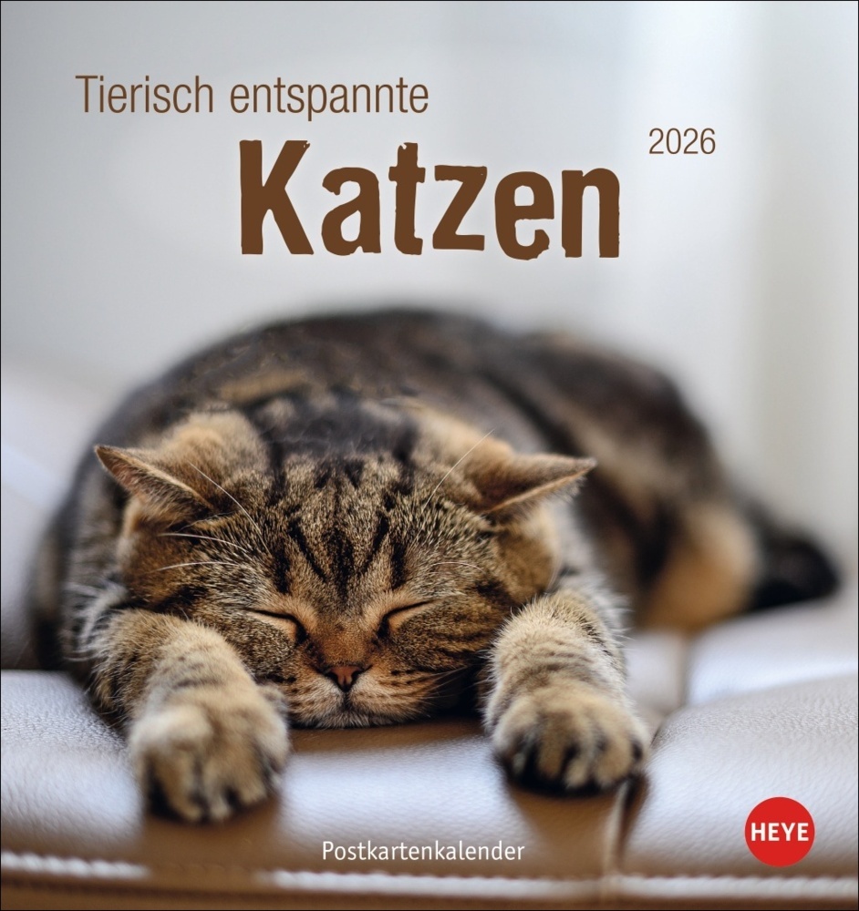 Tierisch entspannte Katzen Postkartenkalender 2026 main product photo