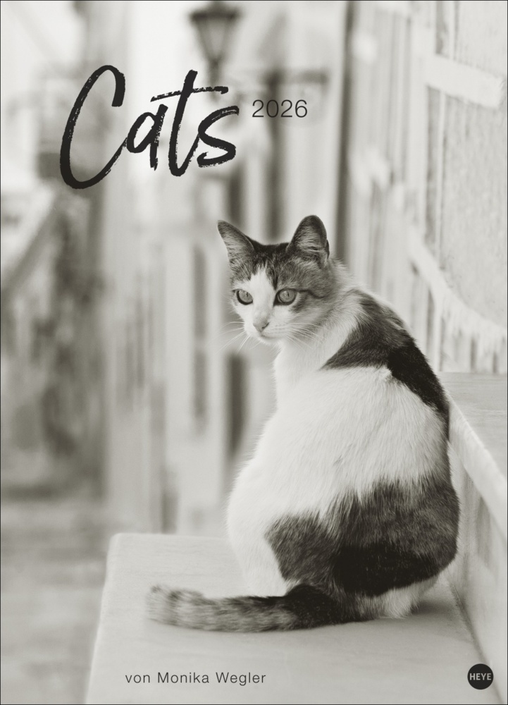 Cats Edition Kalender 2026 main product photo
