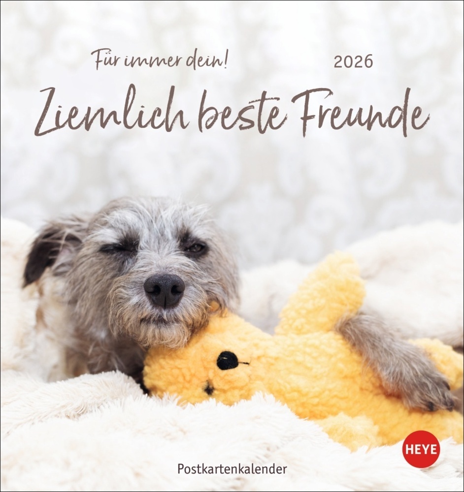 Ziemlich beste Freunde Postkartenkalender 2026 - Für immer dein main product photo