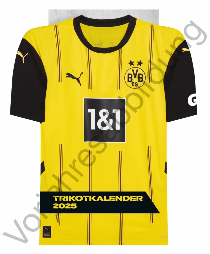 BVB Trikotkalender 2026 main product photo