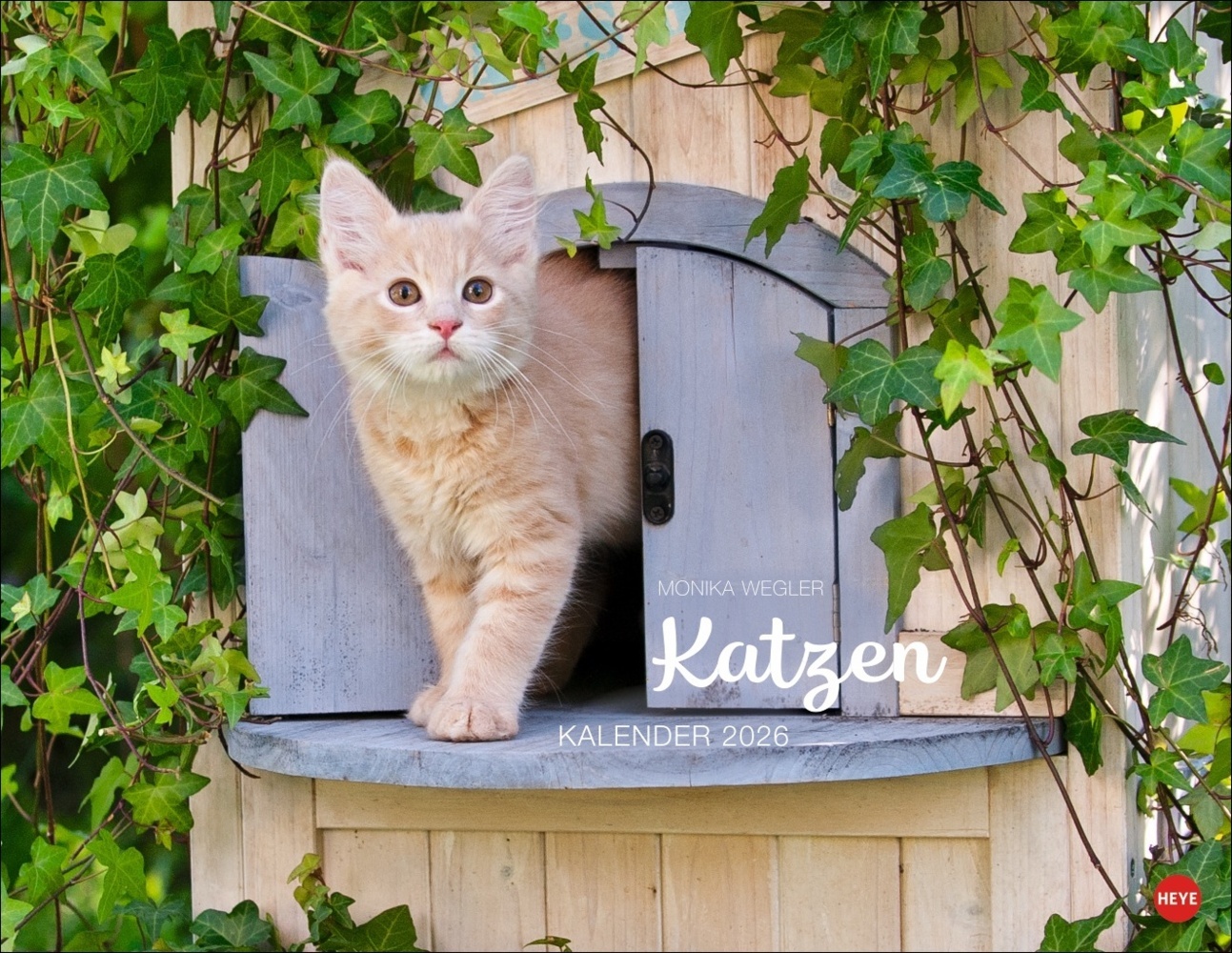 Monika Wegler: Katzenkalender 2026 main product photo