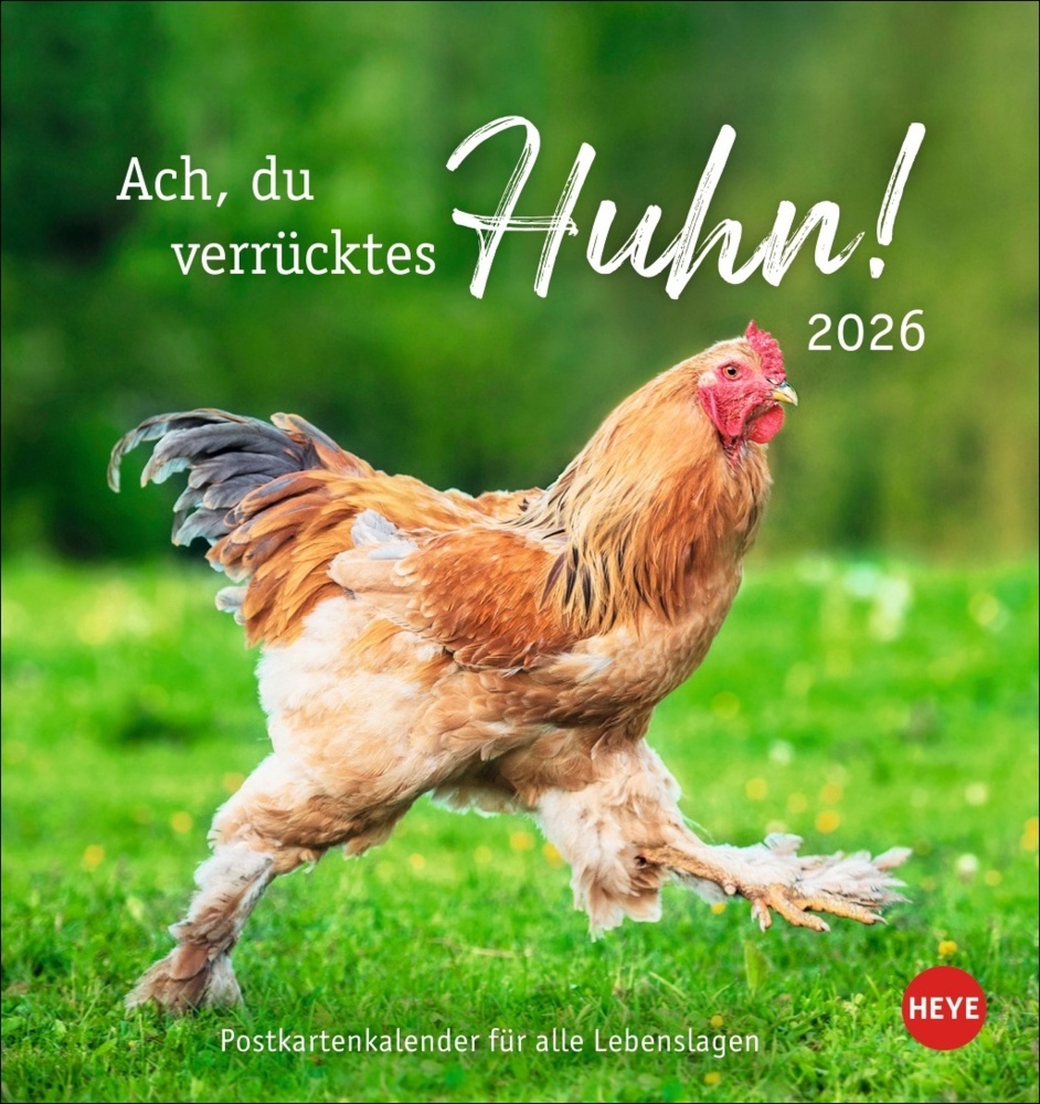 Hühner Postkartenkalender 2026 - Ach, du verrücktes Huhn! main product photo