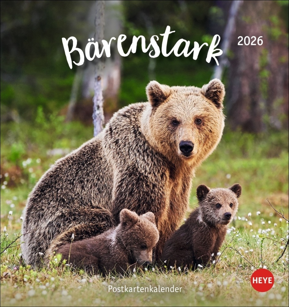 Bärenstark Postkartenkalender 2026 main product photo