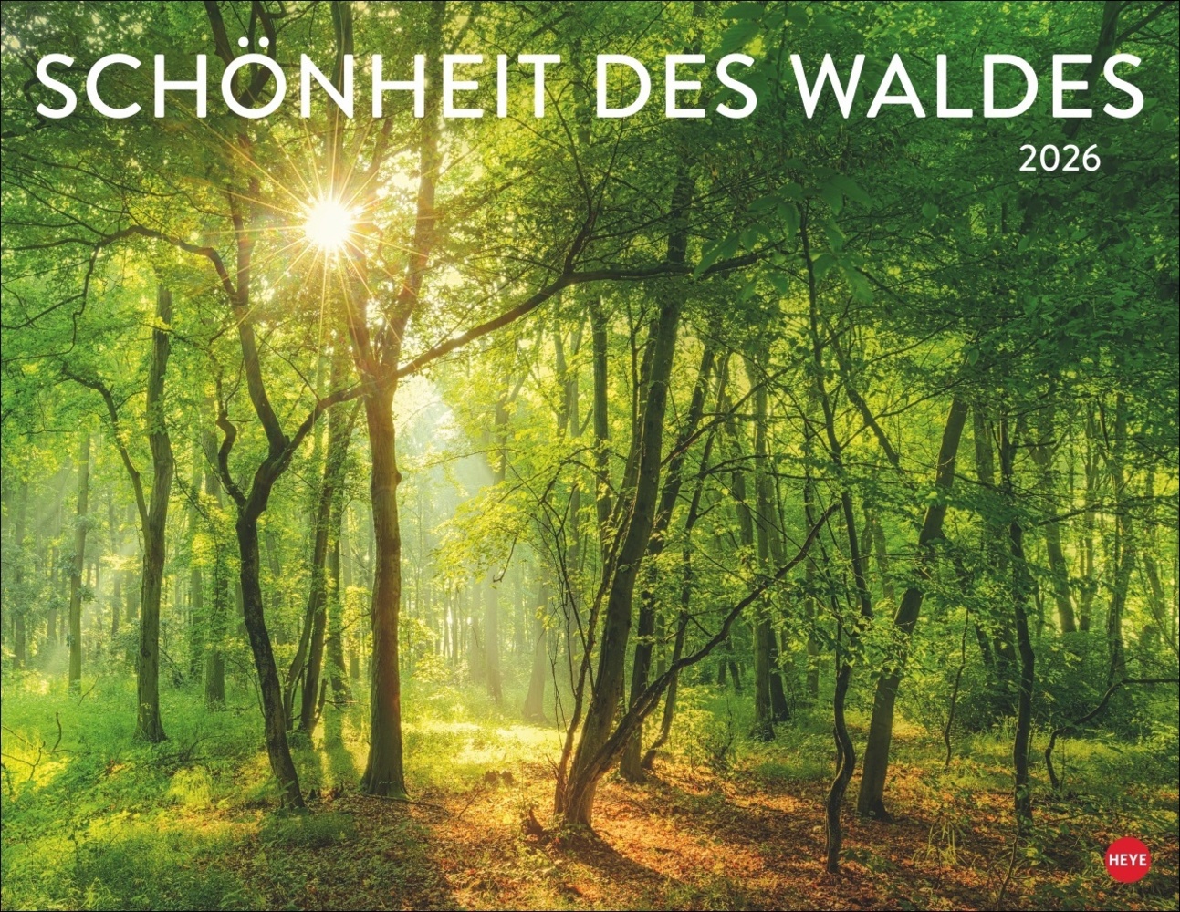 Schönheit des Waldes Posterkalender 2026 main product photo