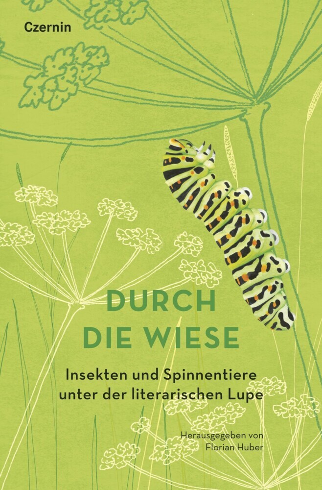 Durch die Wiese main product photo