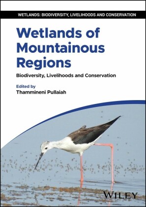 Wetlands of Mountainous Regions