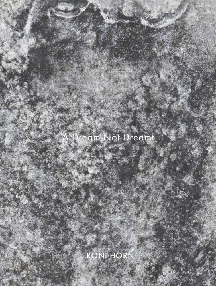 A Dream Not Dreamt main product photo