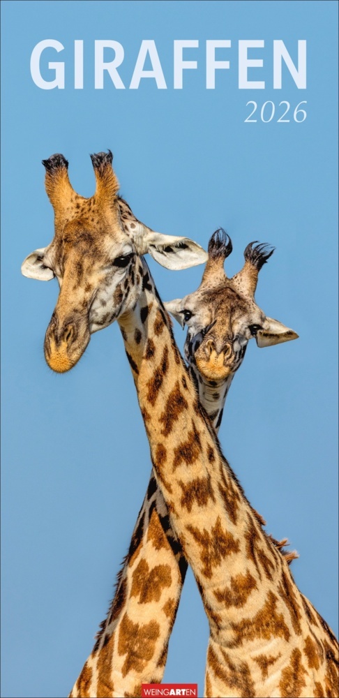 Giraffen Kalender 2026 main product photo