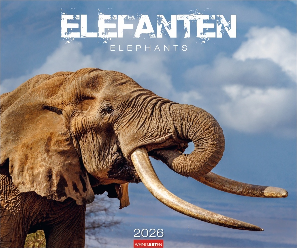 Elefanten Kalender 2026 main product photo