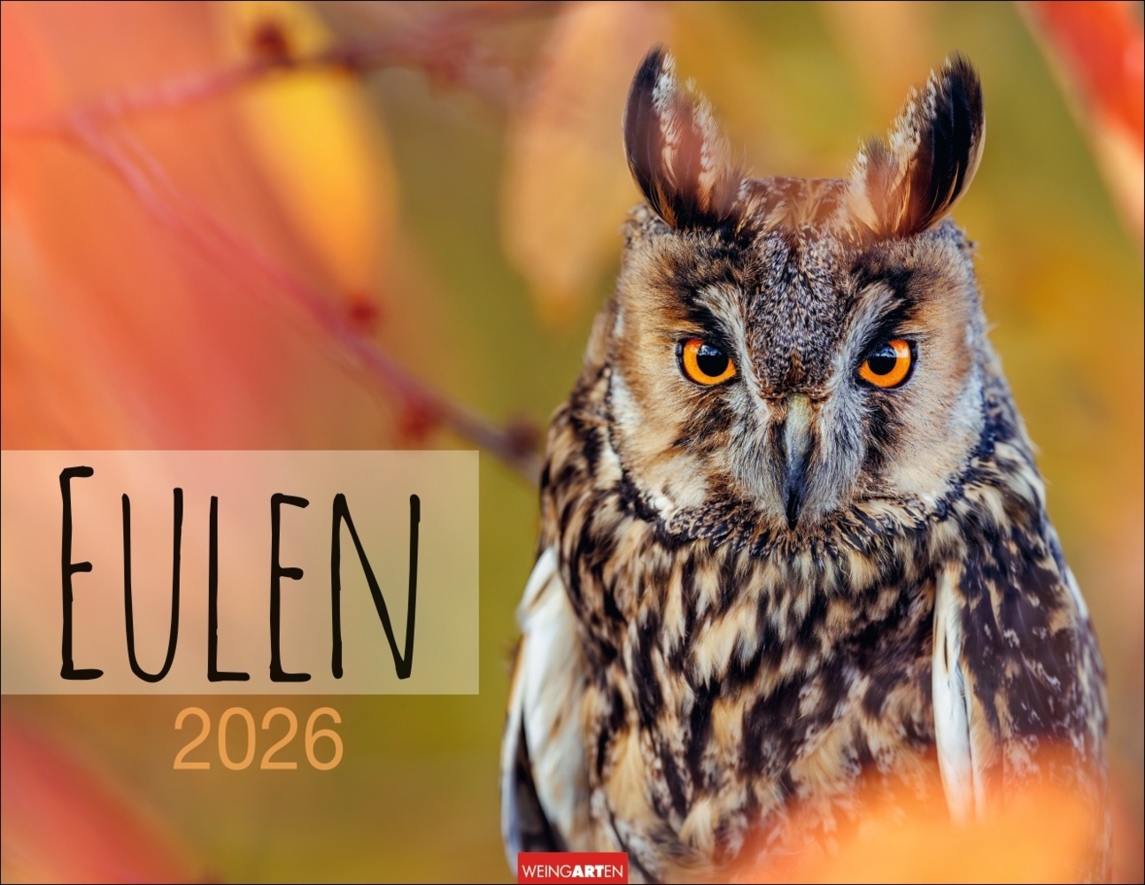 Eulen Kalender 2026 main product photo