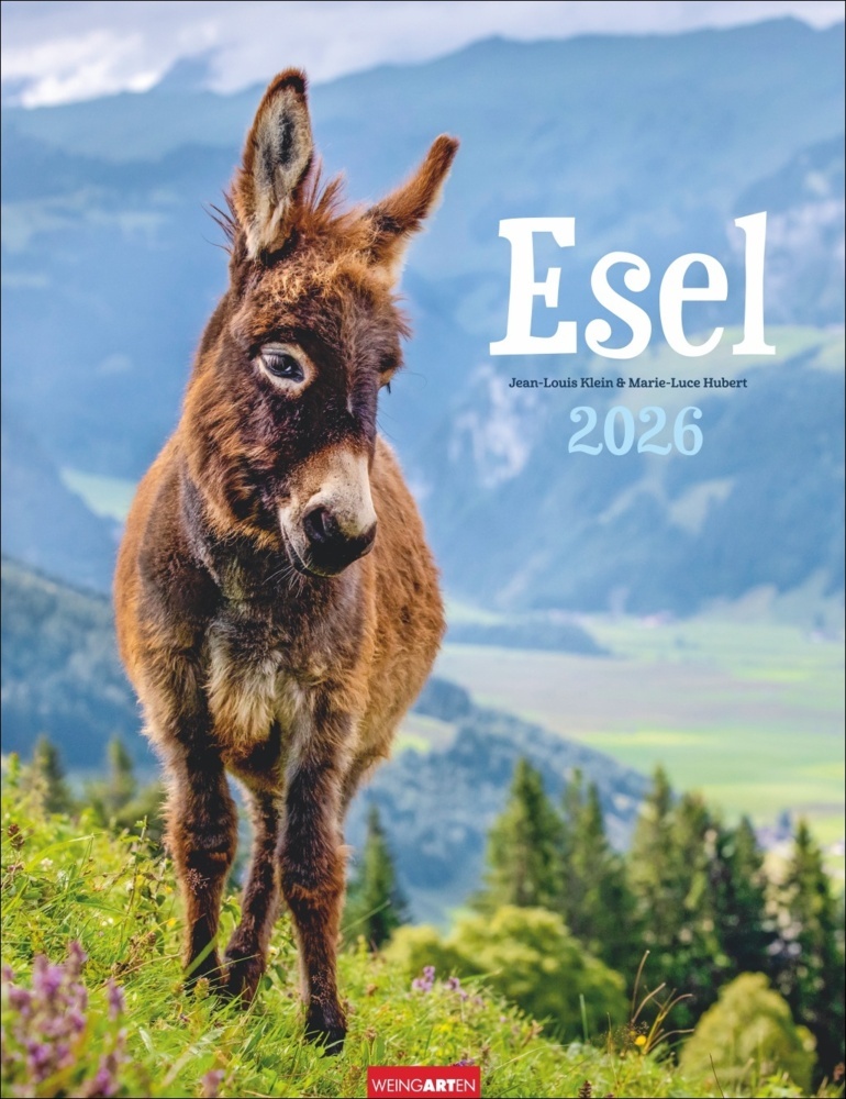Esel Kalender 2026 main product photo