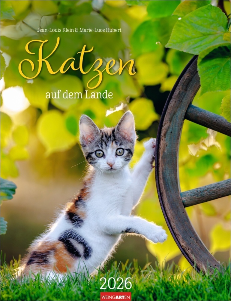 Katzen auf dem Lande Kalender 2026 main product photo