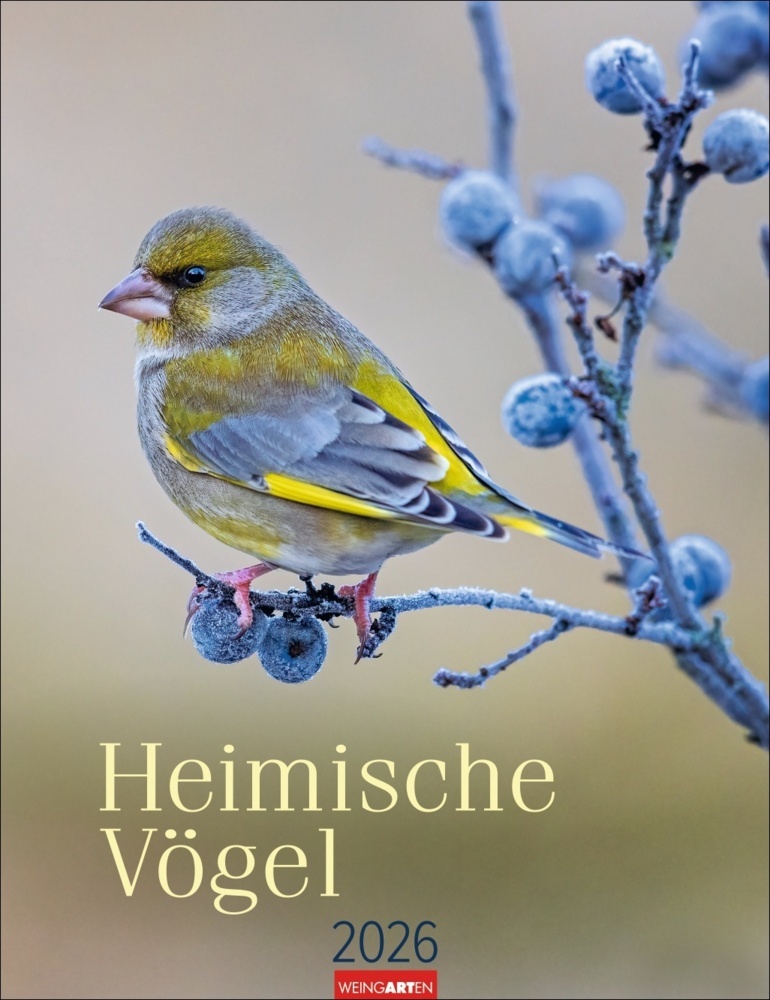 Heimische Vögel Kalender 2026 main product photo