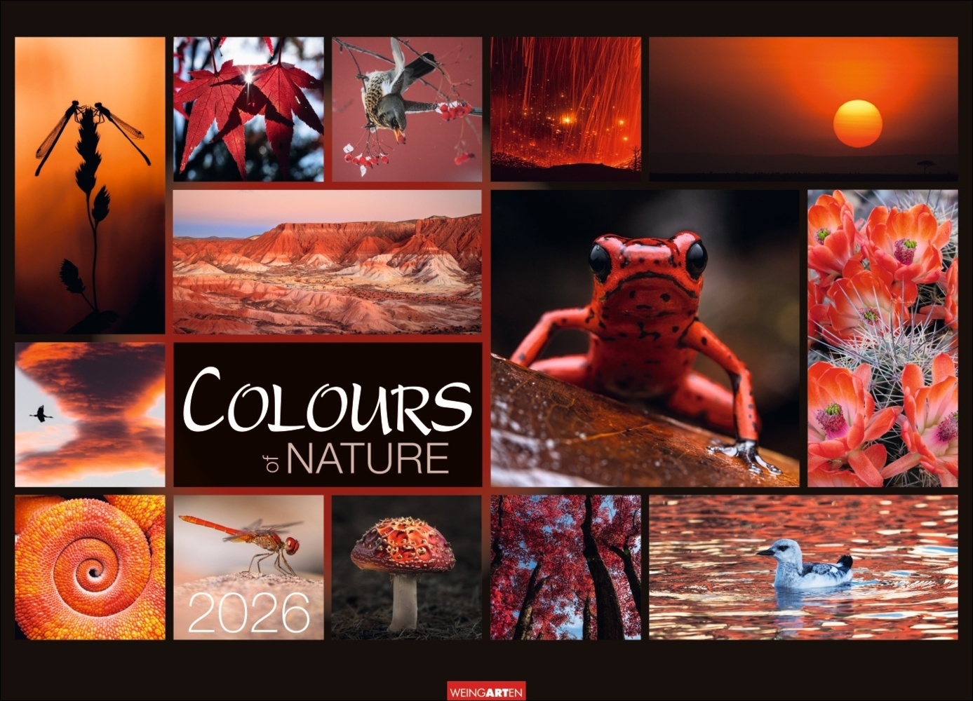 Colours of Nature Kalender 2026 main product photo