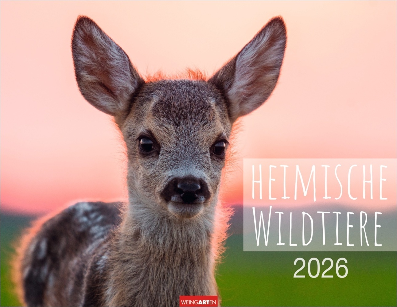 Heimische Wildtiere Kalender 2026 main product photo