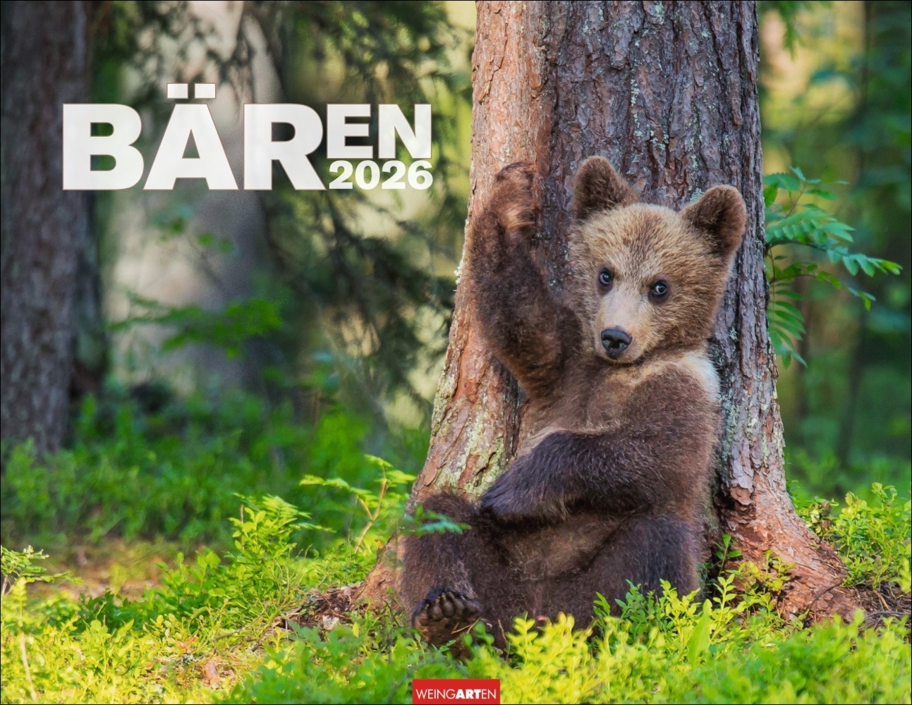Bären Kalender 2026 main product photo