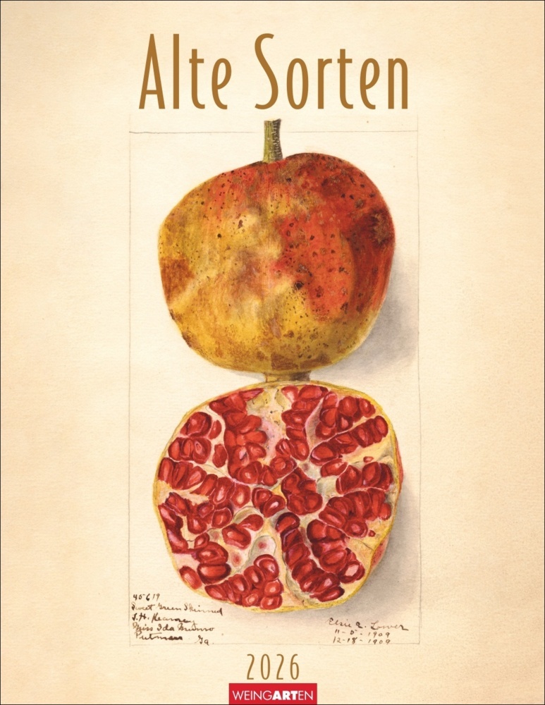 Alte Sorten Kalender 2026 main product photo