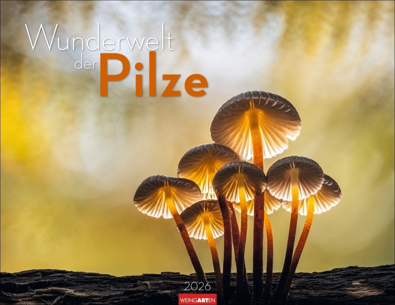 Wunderwelt der Pilze Kalender 2026 main product photo