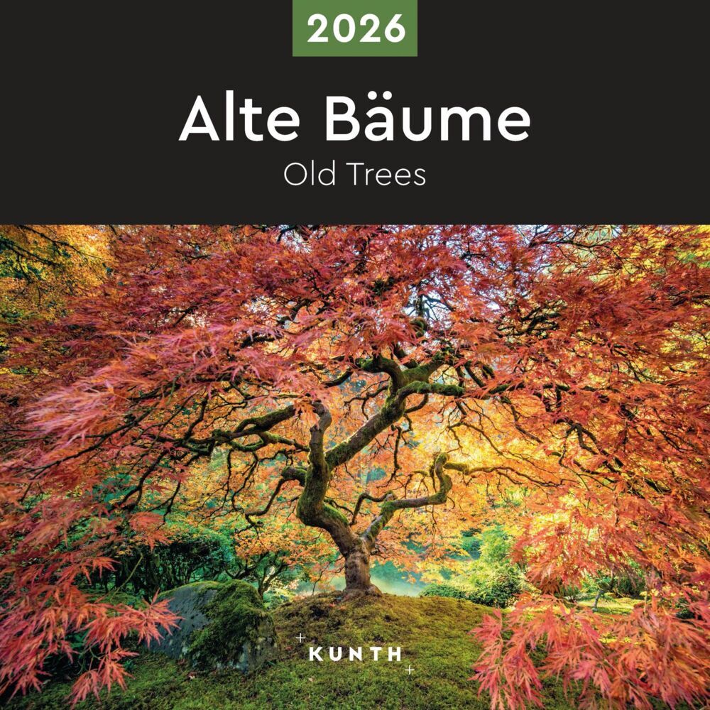 Alte Bäume - KUNTH Broschurkalender 2026 main product photo