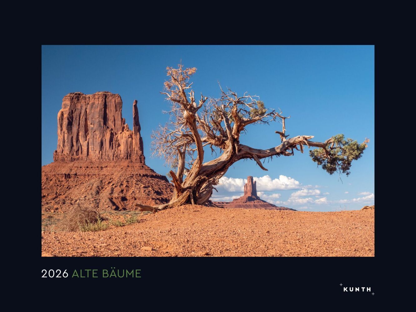 Alte Bäume, Sinnbilder des Lebens - KUNTH Wandkalender 2026 main product photo