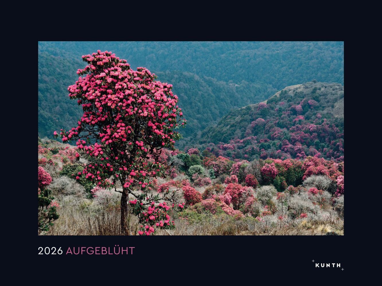 Aufgeblüht - KUNTH Wandkalender 2026 main product photo