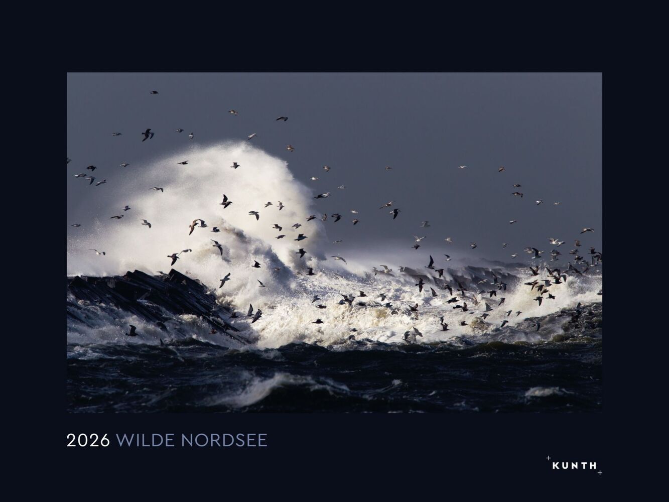 Wilde Nordsee - KUNTH Wandkalender 2026 main product photo