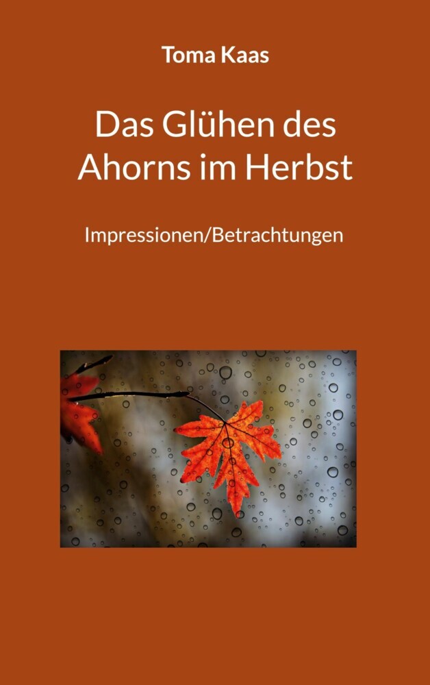 Das Glühen des Ahorns im Herbst main product photo