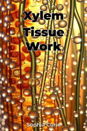 Xylem Tissue Work