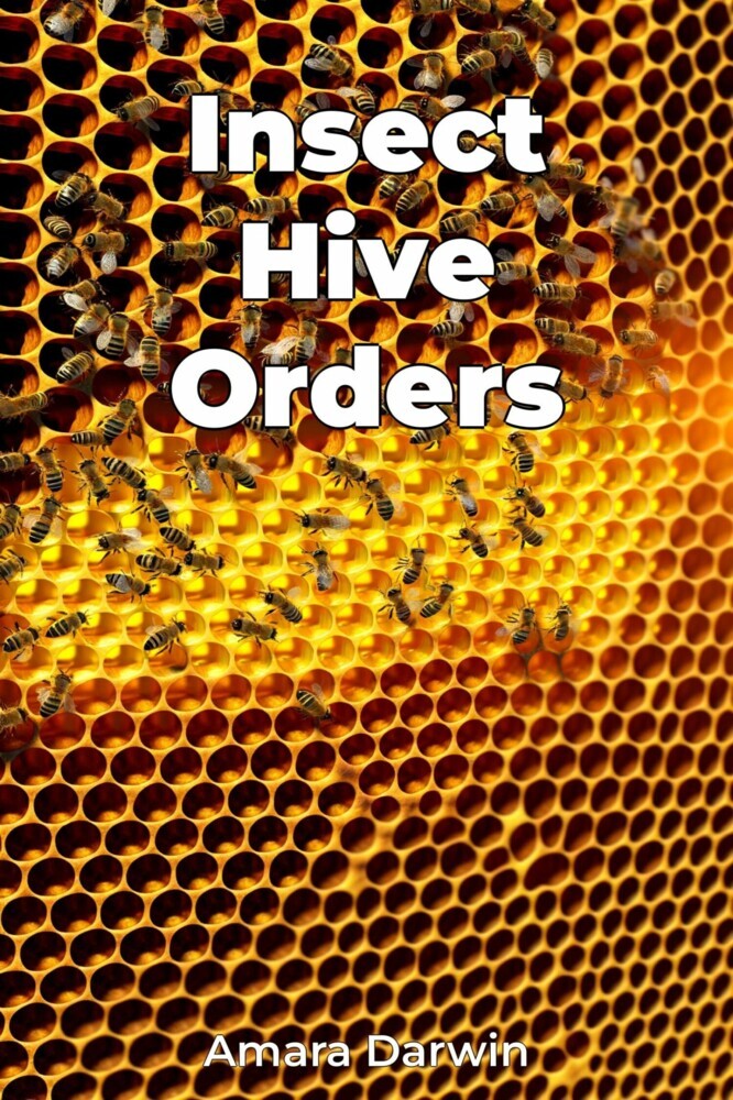 Insect Hive Orders main product photo