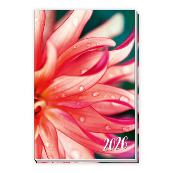 Trötsch Taschenkalender A6 Flowers 2026