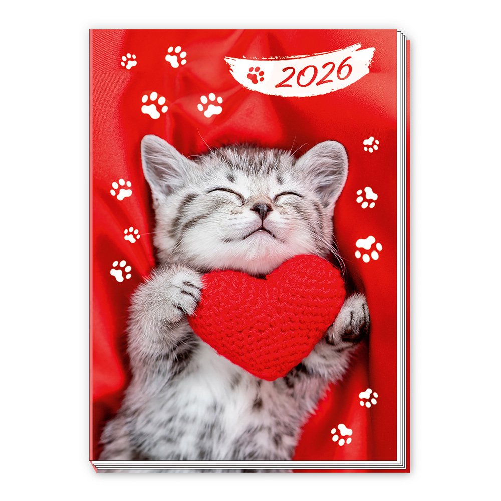 Trötsch Taschenkalender A7 Katze 2026 main product photo