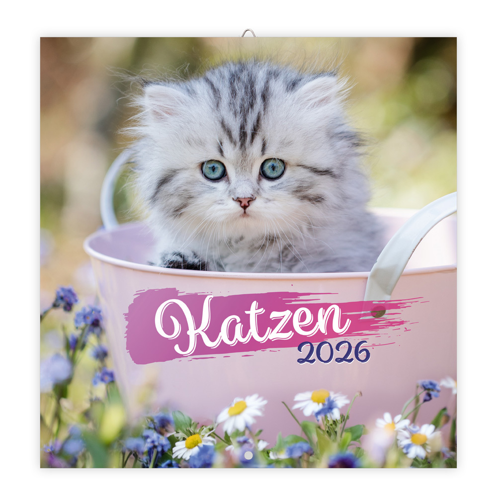 Trötsch Broschürenkalender Katzen 2026 main product photo