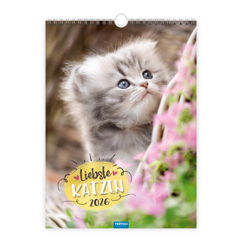 Trötsch Classickalender Liebste Katzen 2026