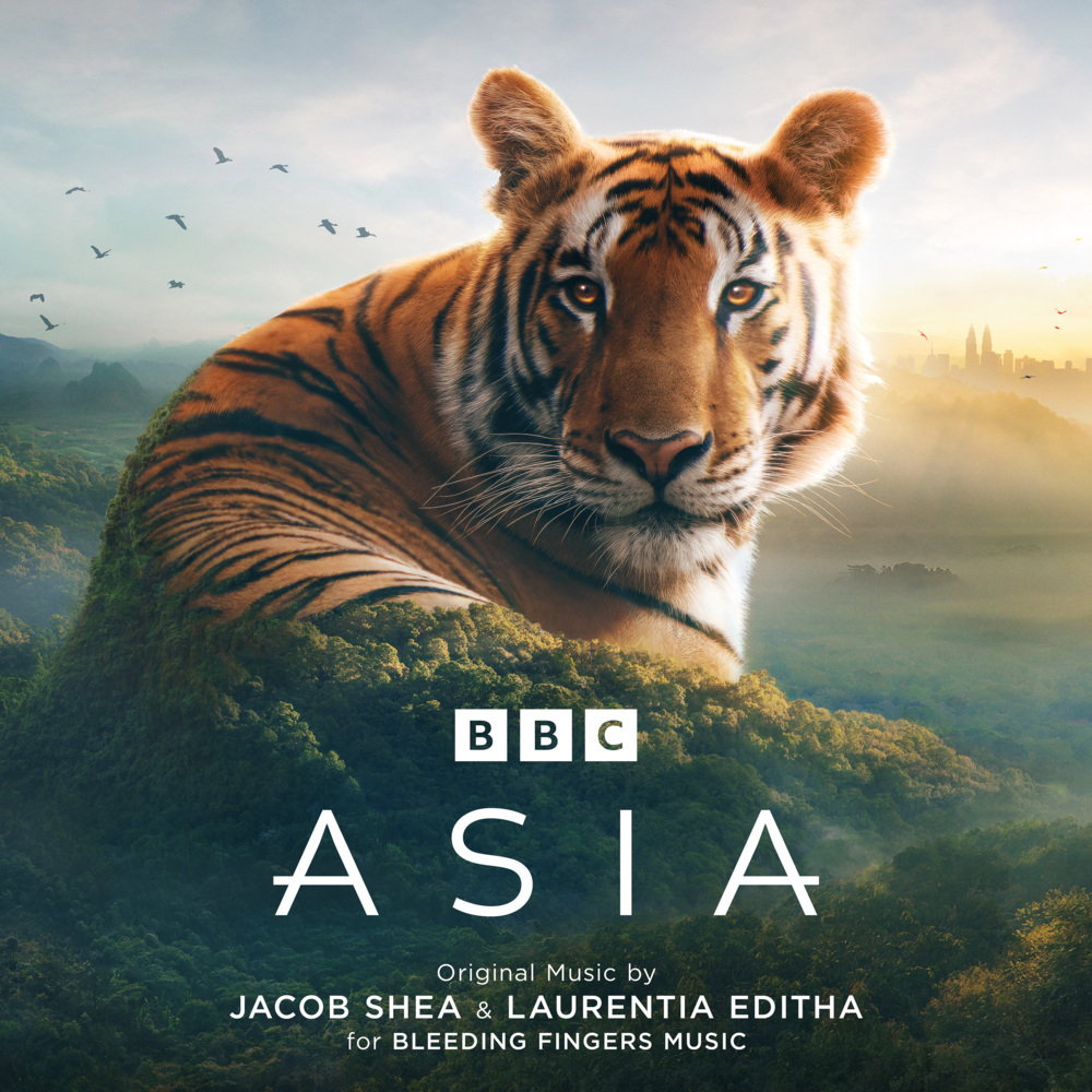 Asia (OST TV), 2 Audio-CD main product photo