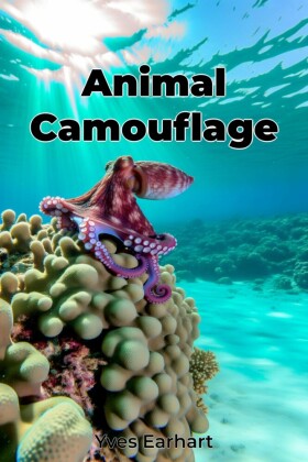 Animal Camouflage
