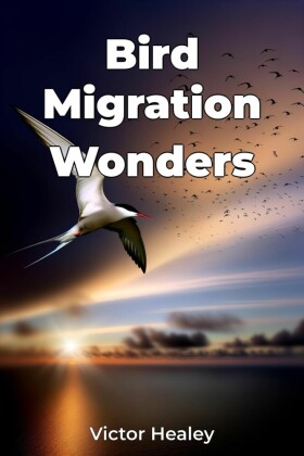 Bird Migration Wonders