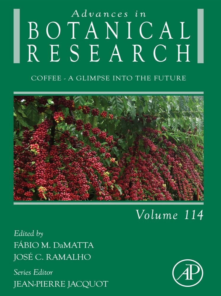 Coffee main product photo