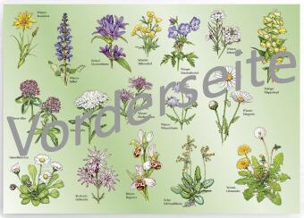 Tischset "Wiesenblumen"
