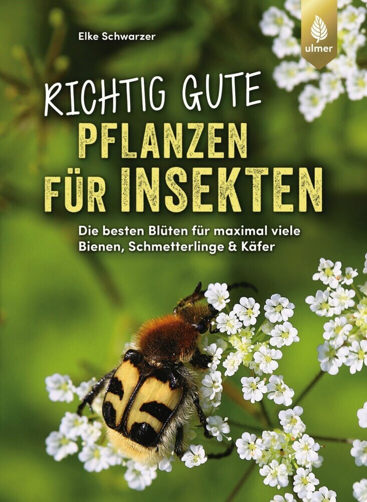 Richtig gute Pflanzen für Insekten main product photo