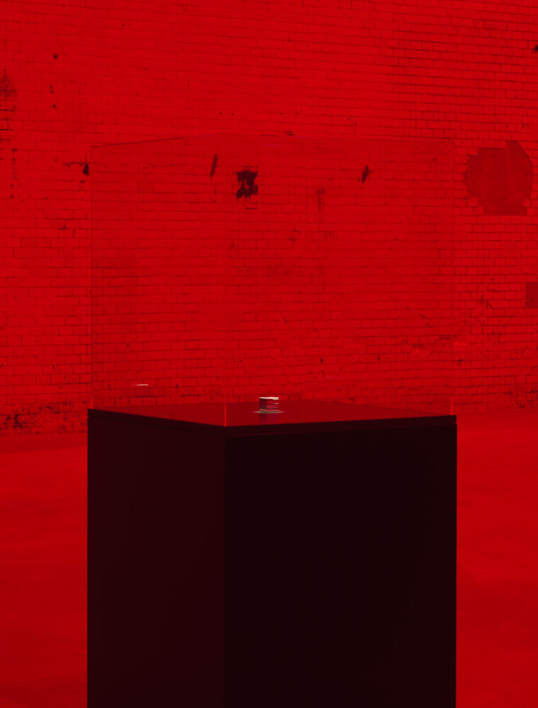 The End of the World main product photo