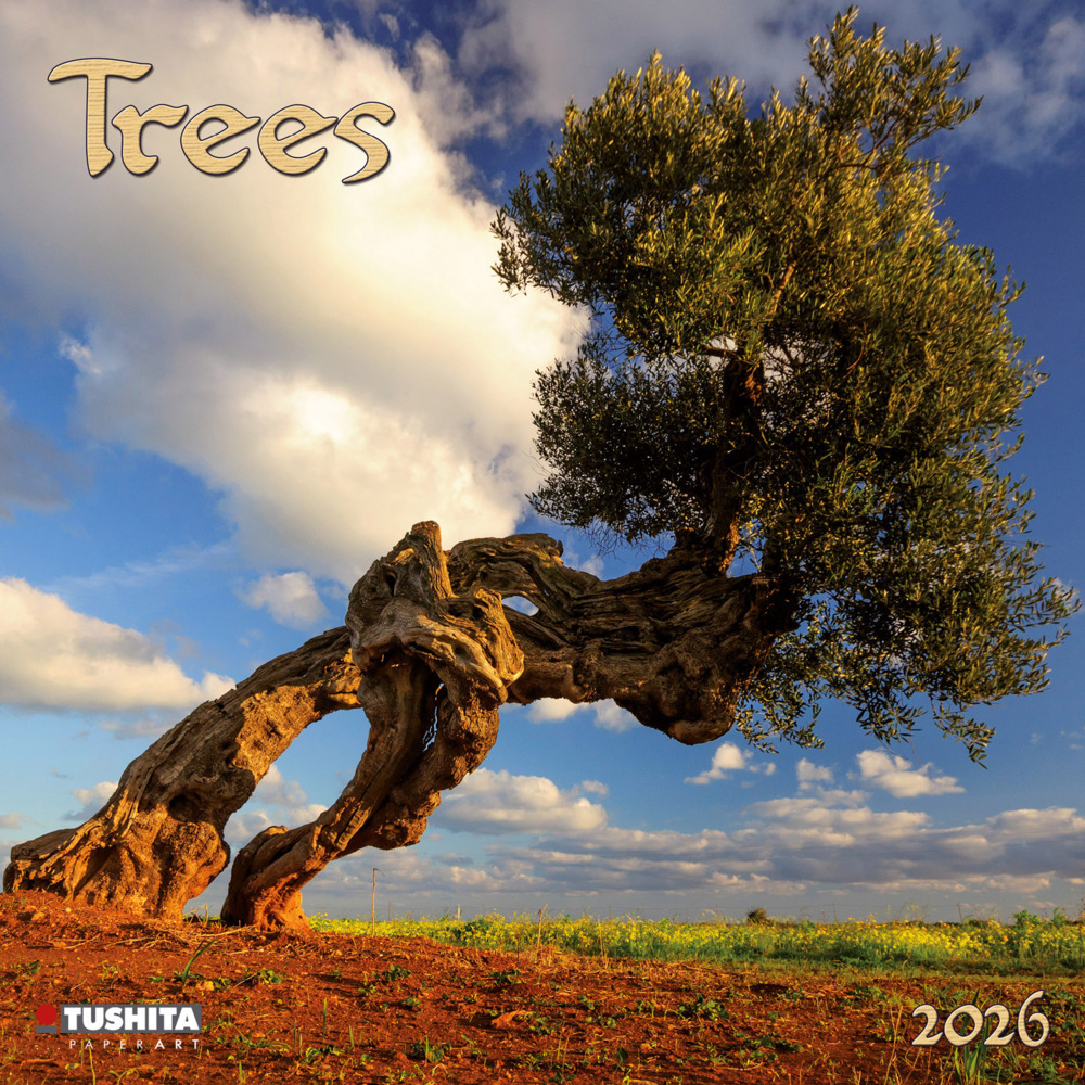 Trees 2026 main product photo