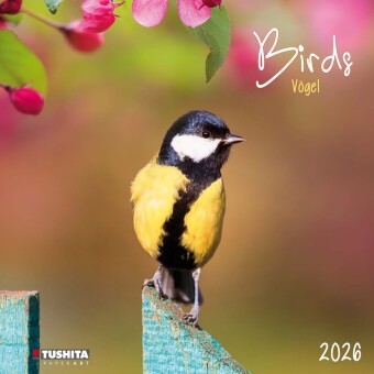 Birds 2026