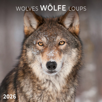 Wölfe/Wolves 2026