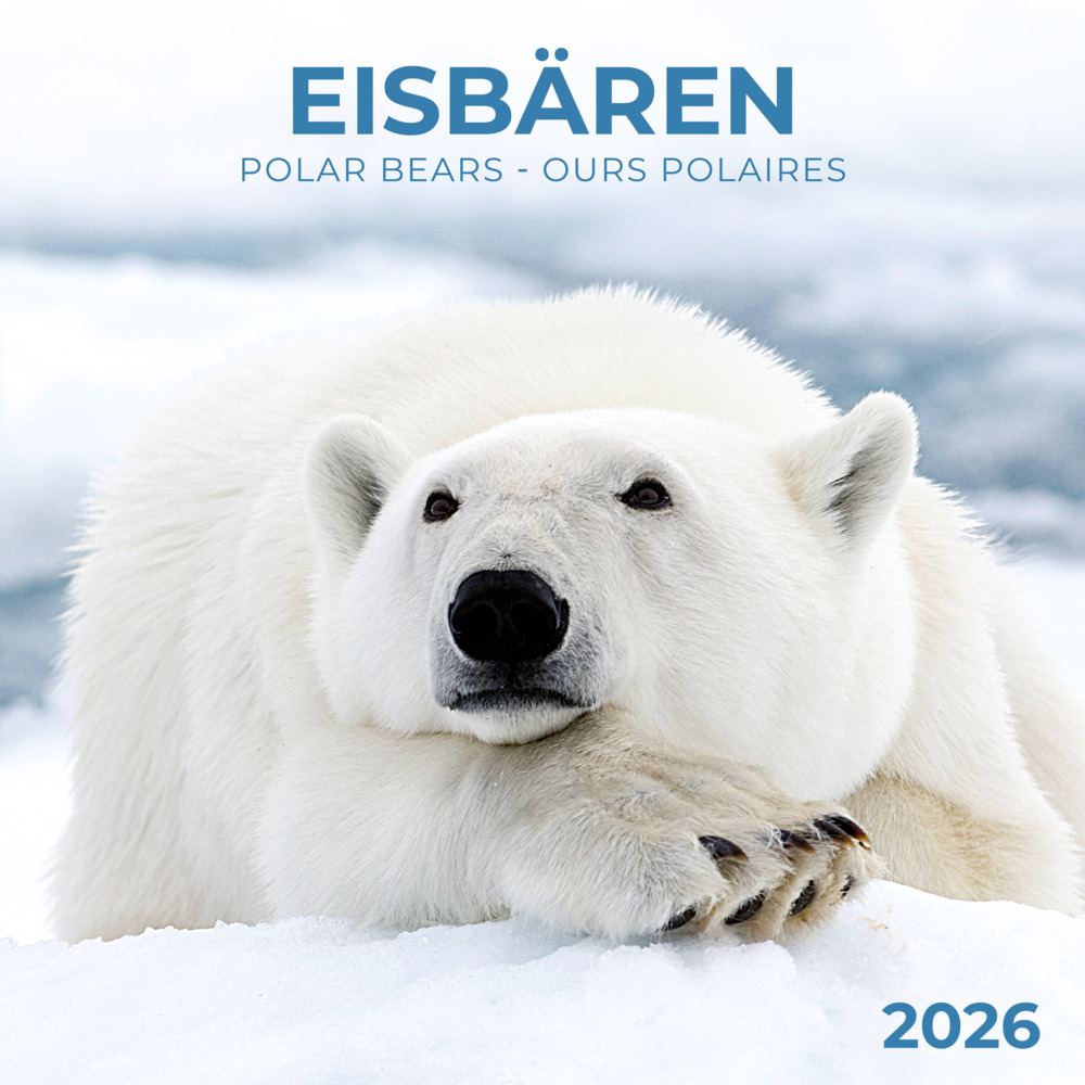 Eisbärchen/Polar Bears 2026 main product photo