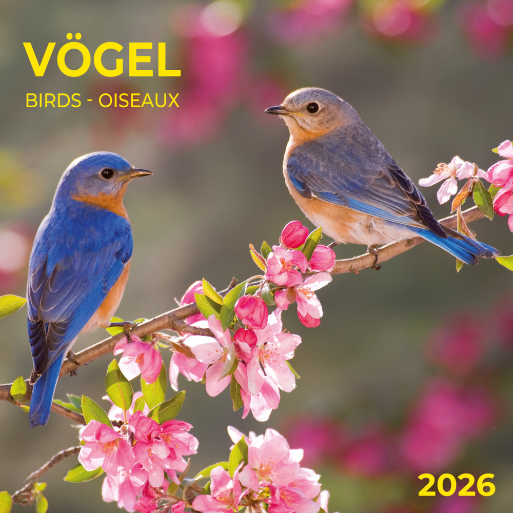 Heimische Vögel 2026 main product photo