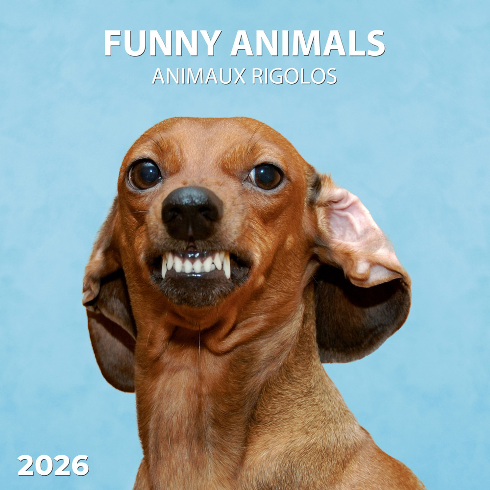 Lustige Tiere 2026 main product photo
