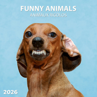 Lustige Tiere 2026