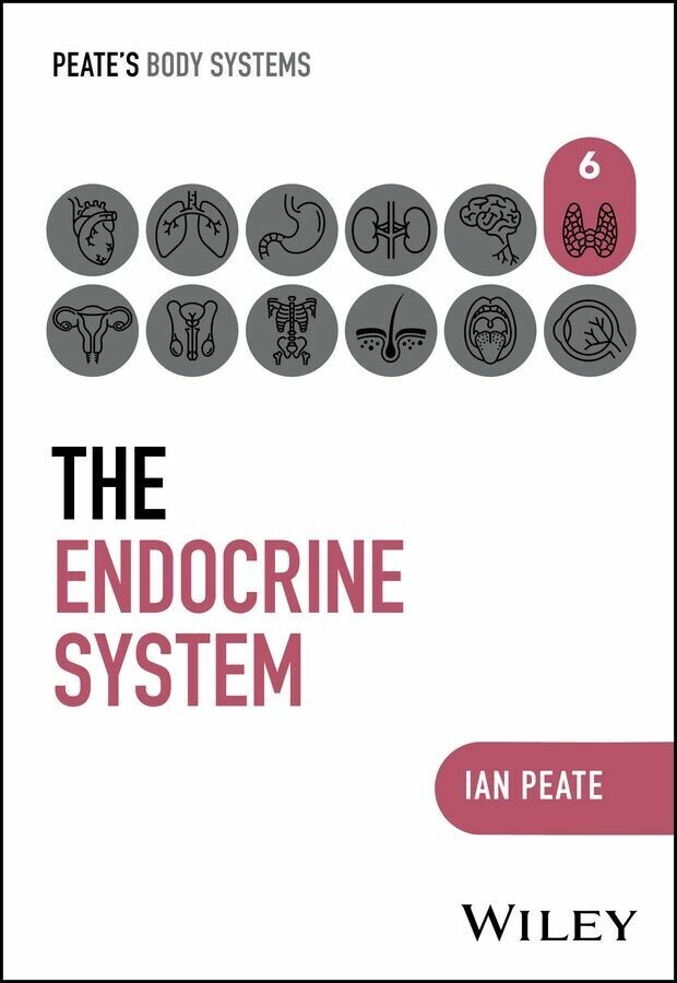 The Endocrine System main product photo