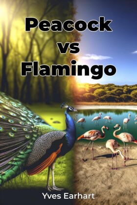 Peacock vs Flamingo